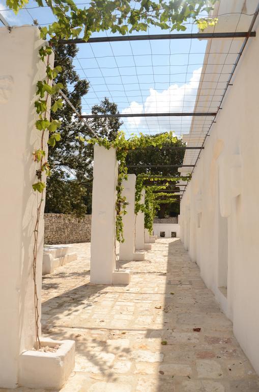 Masseria Le Carrube 奥斯图尼 客房 照片